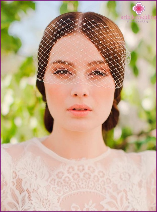 Veil for the hairstyle of the bride