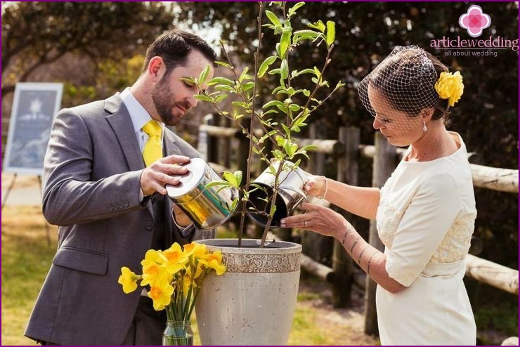 Tree planting