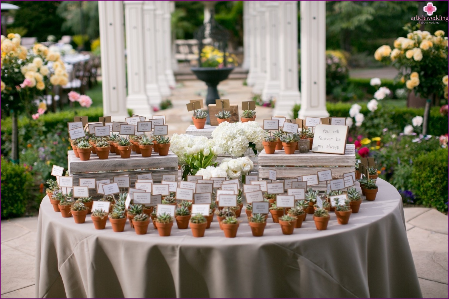 Succulents Banquet Cards