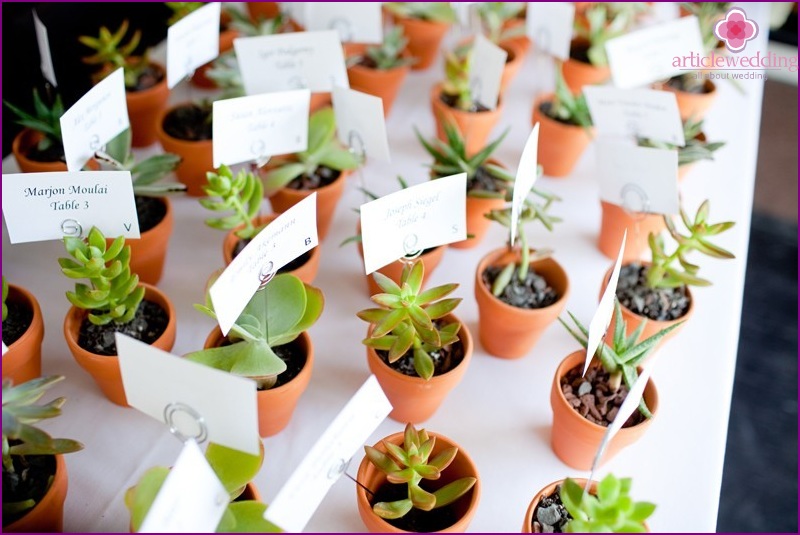 Cartões do banquete das plantas carnudas