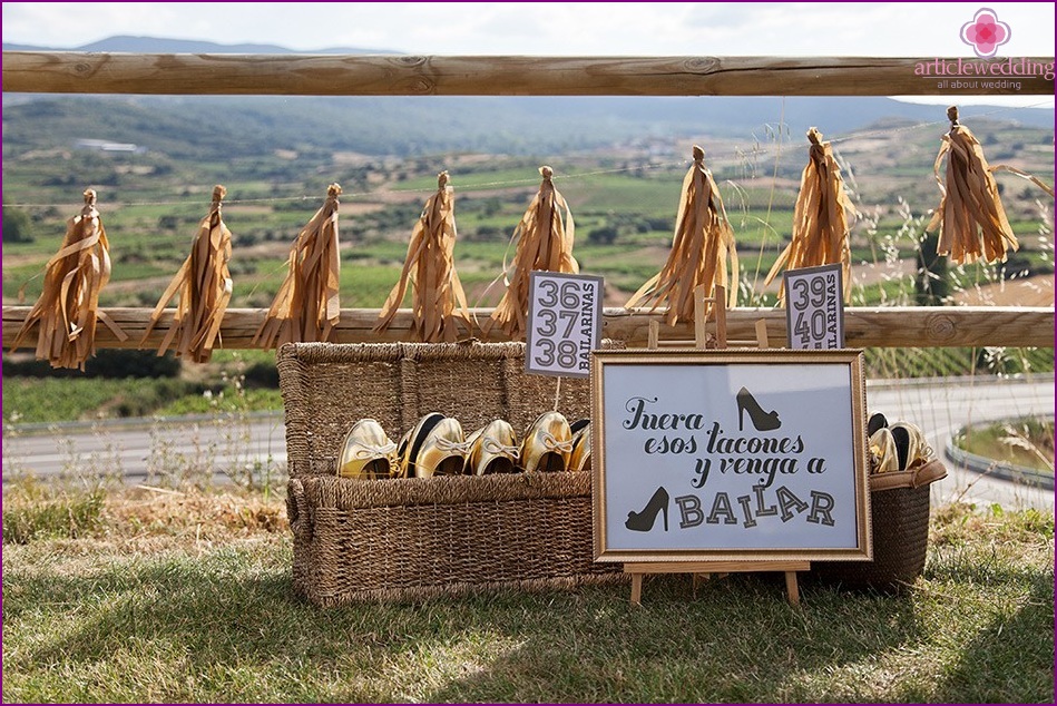 Ballet shoes for guests