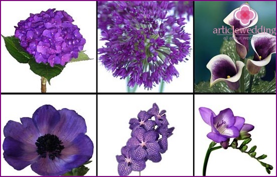 Types of flowers for decor