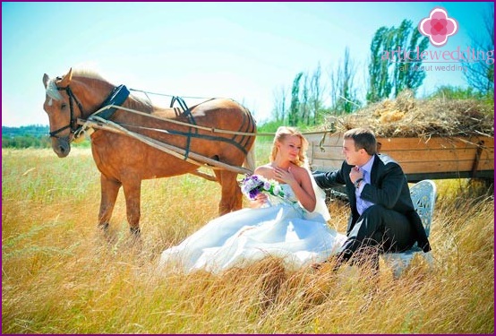 Déclaration d'amour en plein champ