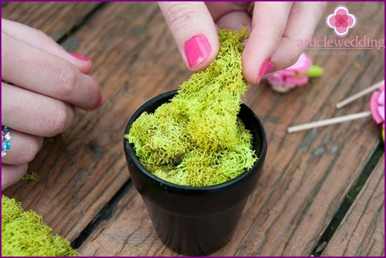 How to place moss in a pot