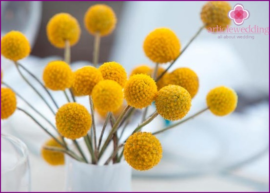 Accenti di nozze giallo brillante