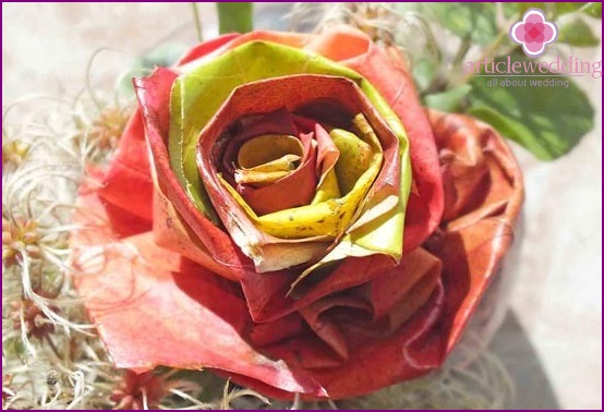 Unusual rose