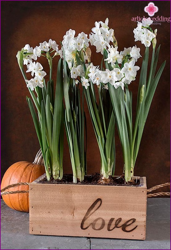 Flowers in tubs