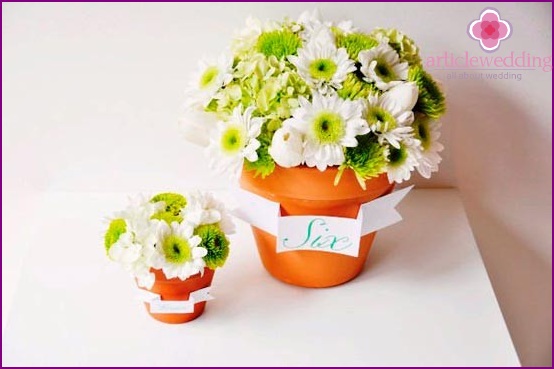 Potted flowers