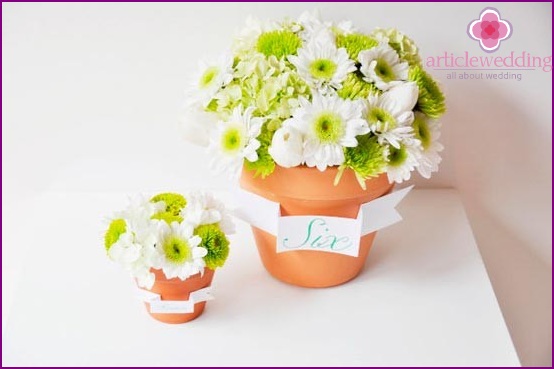 Beautiful flower pots