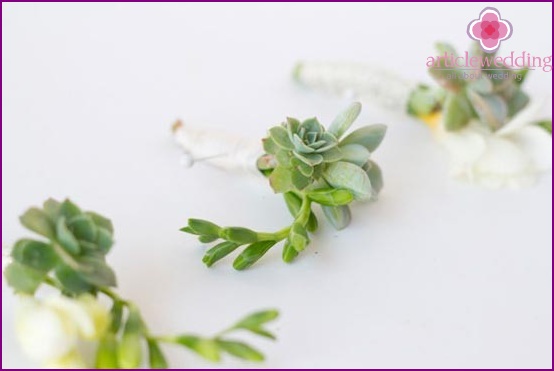 Delicate buttonholes