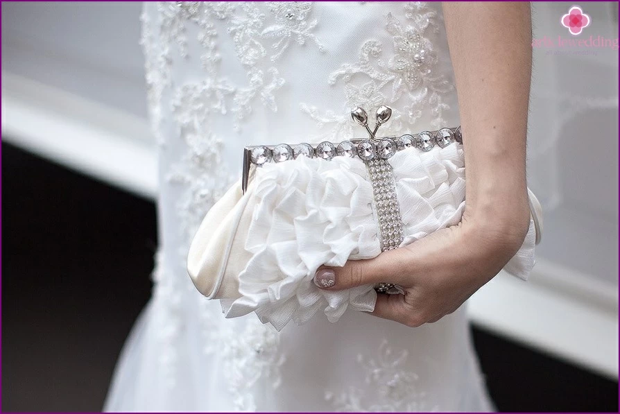 Stylish handbag of the bride