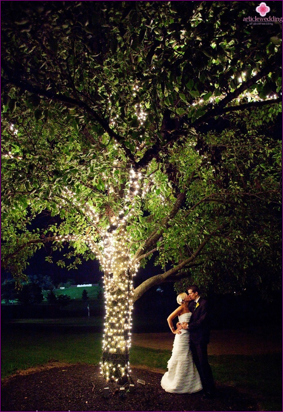 Illuminazione degli alberi a un matrimonio