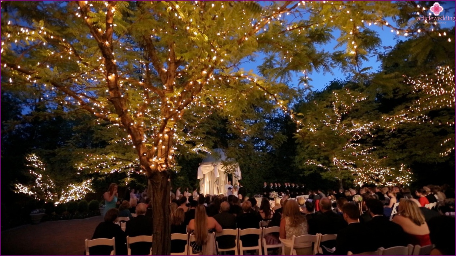 Illumination of trees as lighting at a wedding