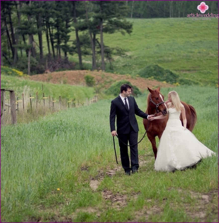 Passeio de casamento com um cavalo