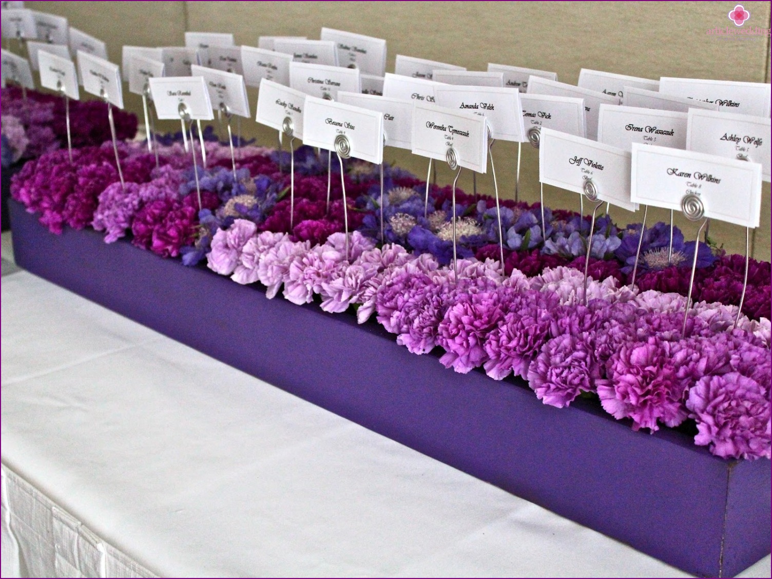Purple carnations as a basis for cards