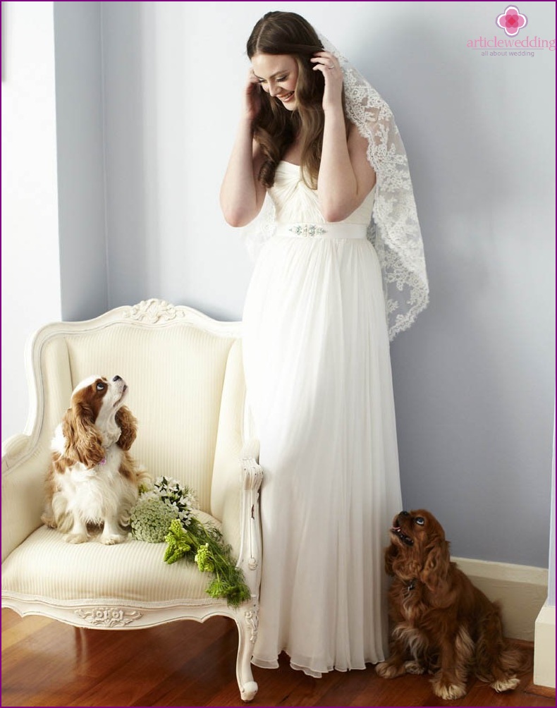 Bride and Pets