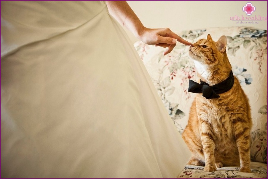 Bride with pet