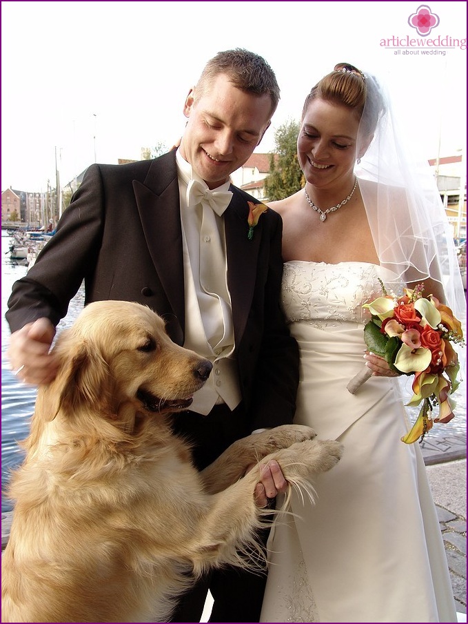 Haustier bei der Hochzeit