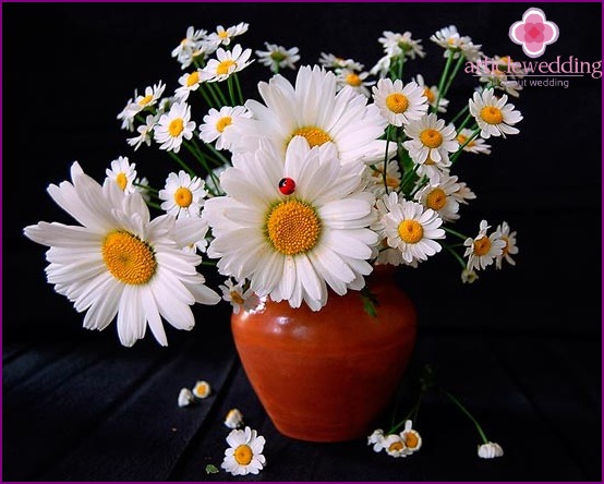 Bouquet of daisies