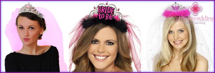 Veil with a crown for a bachelorette party