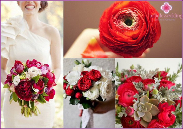 Renoncule de jardin pour un bouquet de mariée