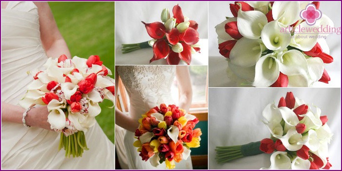 De combinatie in een boeket van pasgetrouwde calla lelies met tulpen