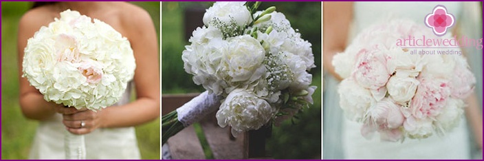 Peonies in the image of a bride