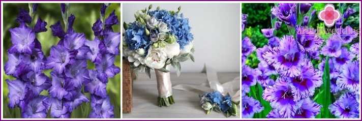 Violet gladioli in a bridal bouquet