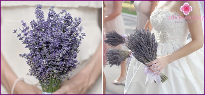 Lavendel mischt sich mit blau-blauen Blüten