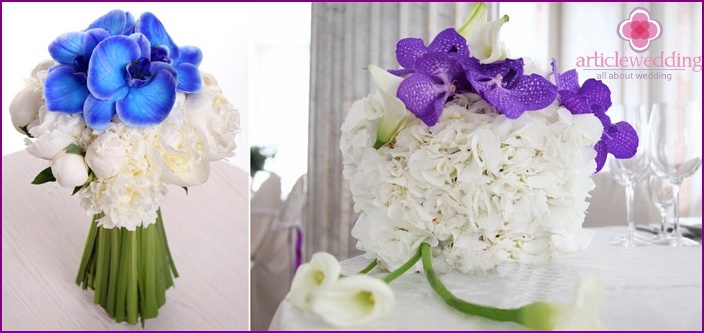 Originele design compositie met een blauwe orchidee