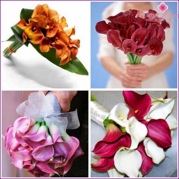 Wedding Bouquet: multi-colored calla lilies