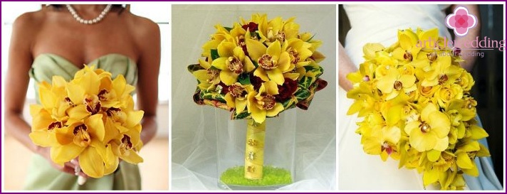 Exotic orchids in honeymoon composition