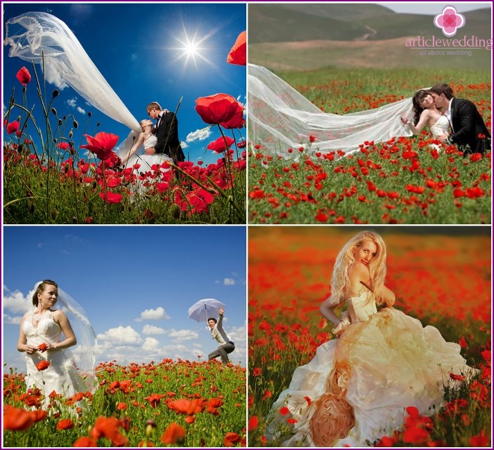 Wedding photos of the newlyweds in the poppy field