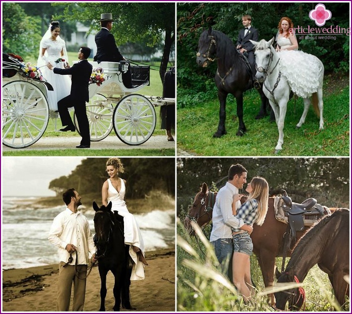 Wedding photos of newlyweds with horses