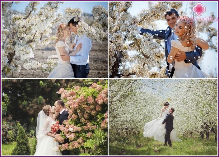 Wedding photo session in a flowering garden