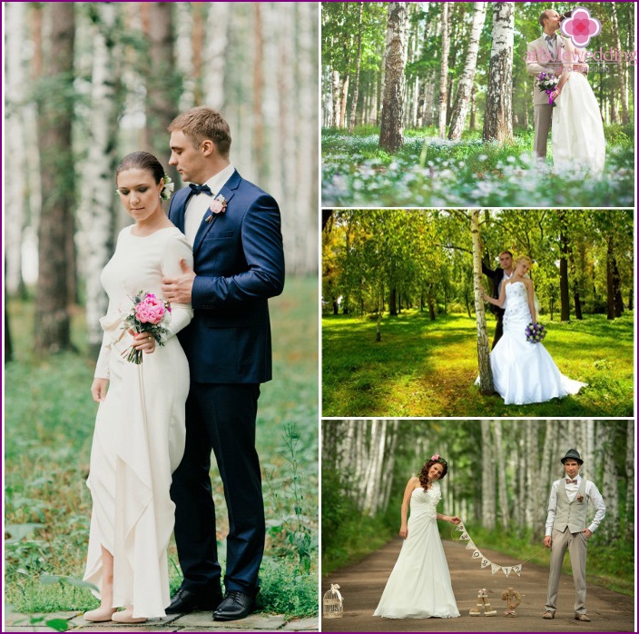 Sessione fotografica di matrimonio in un boschetto di betulle