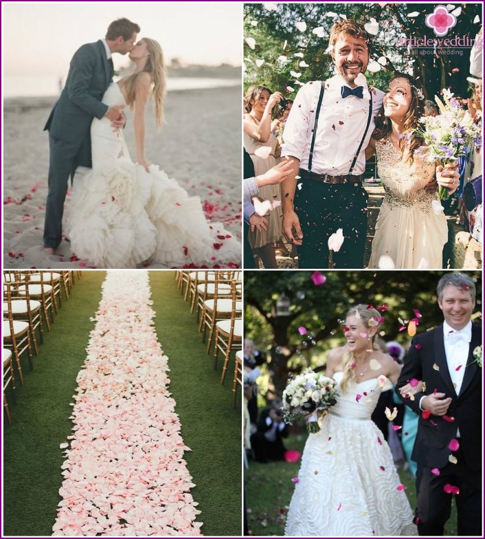 Rosenblätter beim Fotoshooting von Braut und Bräutigam