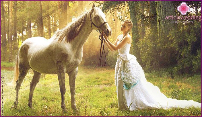 The horse will turn the shooting into a real fairy tale