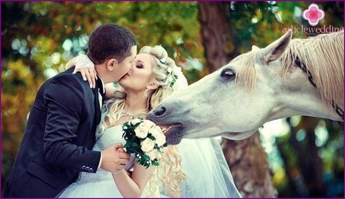 Ein schönes Pferd wird ein Hochzeitsfoto-Shooting schmücken