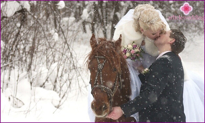 Ein atemberaubendes Ergebnis eines Winter-Fotoshootings mit einem Pferd