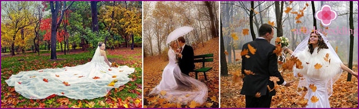 Séance photo d'automne: une promenade dans le parc