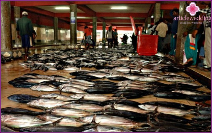 سوق السمك جزر المالديف