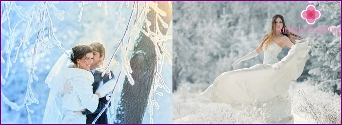 A magia da floresta de inverno: fotos de casamento