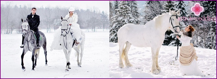 Pasgetrouwde paardensportwandeling - spectaculair schot