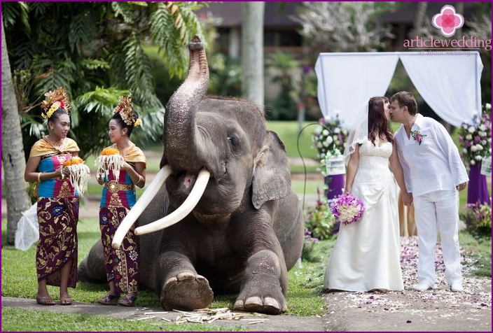 Elefantenhochzeitszeremonie