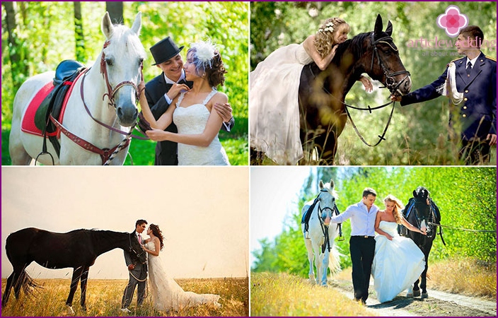 Wedding photos with horses