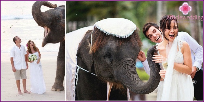 Mariages thaï avec des éléphants