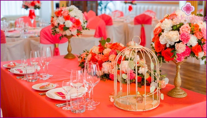 Coral Decor Elements