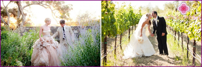 Grape Wedding Photo Shoot