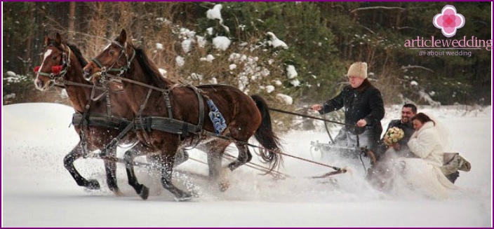 Corteo nuziale per un matrimonio russo: un carro con cavalli